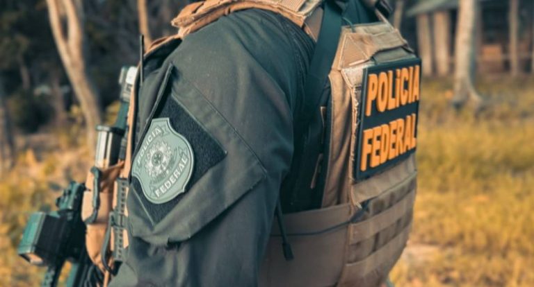 PF e Ibama interditam seis madeireiras em Espigão do Oeste