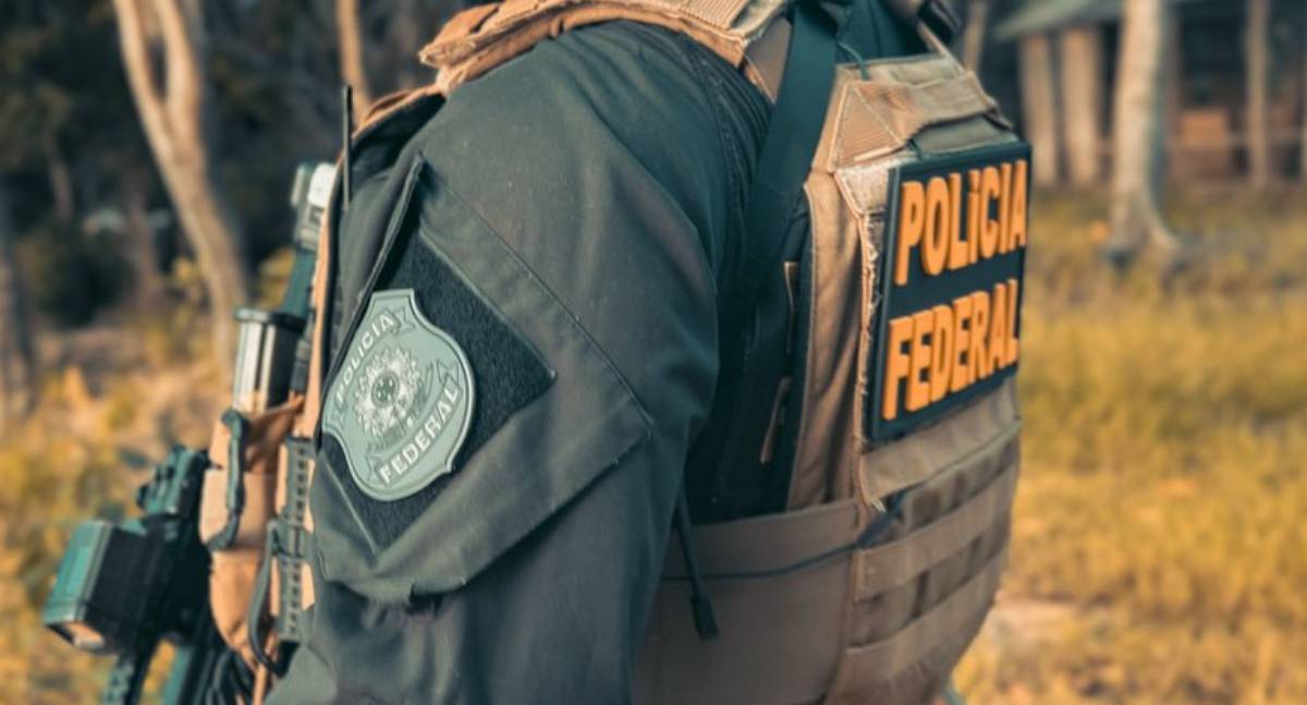 PF e Ibama interditam seis madeireiras em Espigão do Oeste