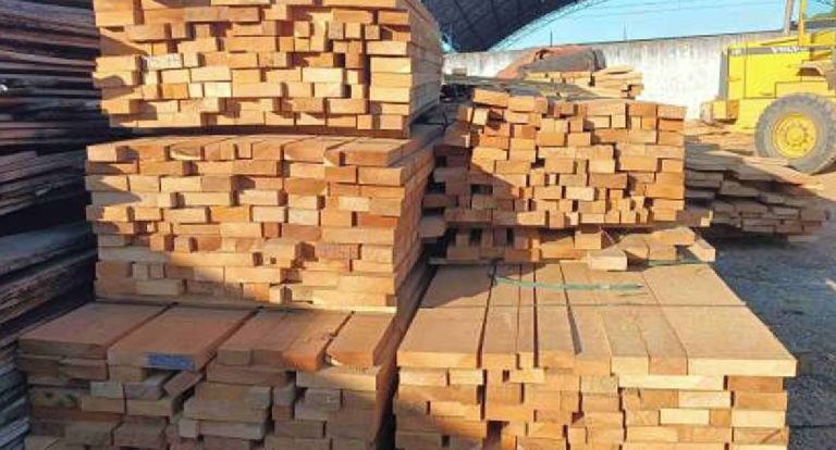 PMRO abre leilão eletrônico para destinação de madeira nativa tipo Garapeira