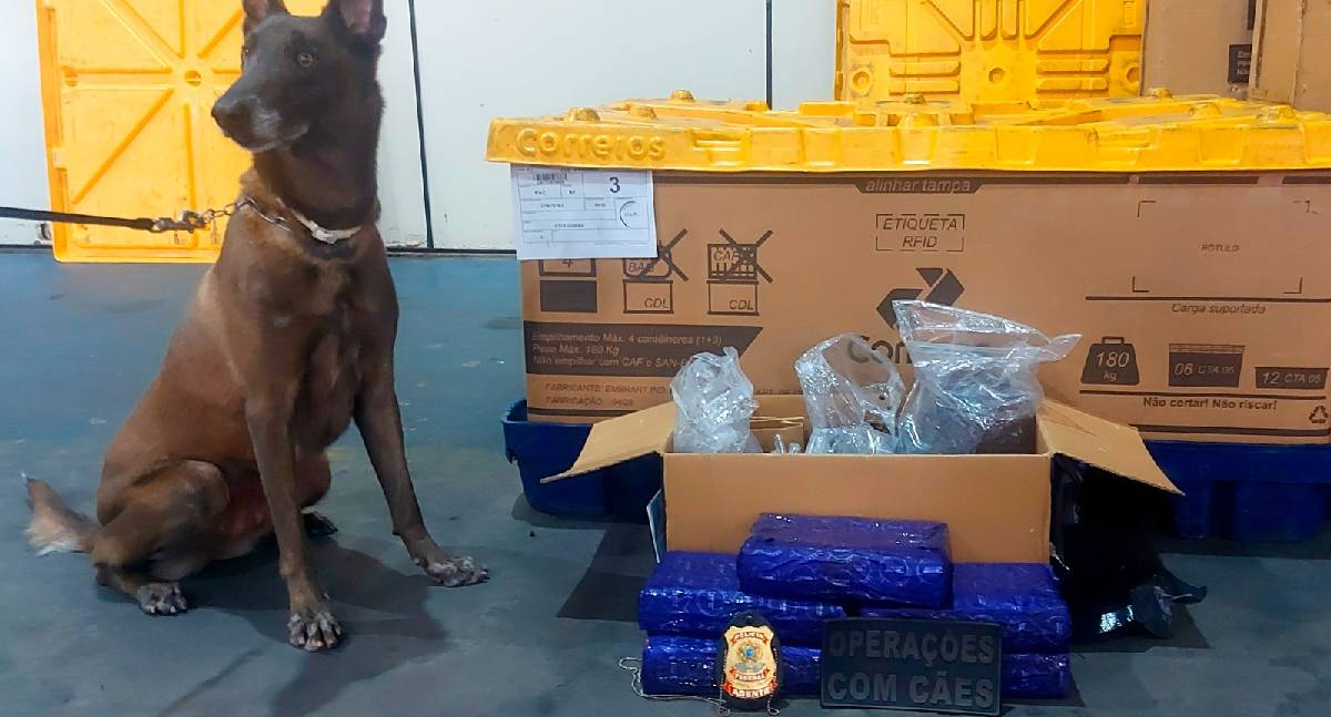 Polícia Militar apreende mais de 5 kg de maconha em depósito dos Correios em Ji-Paraná
