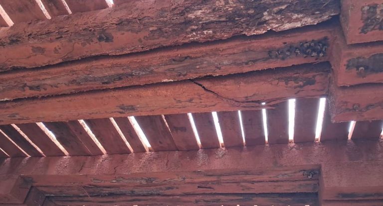 Ponte sobre o Rio Preto entra na pauta de infraestrutura defendida por Dra. Taíssa