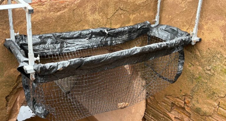 Porto Velho amplia instalação de ecobueiros para reduzir alagamentos e melhorar drenagem