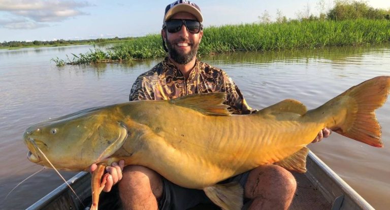 Porto Velho consolida Capital da Pesca Esportiva e do Turismo de Observação de Aves