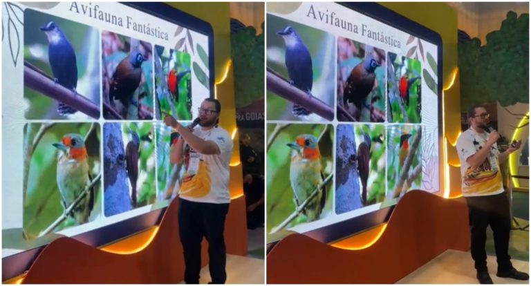 Prefeitura envia projeto de lei para transformar cidade em Capital do Turismo de Observação de Aves