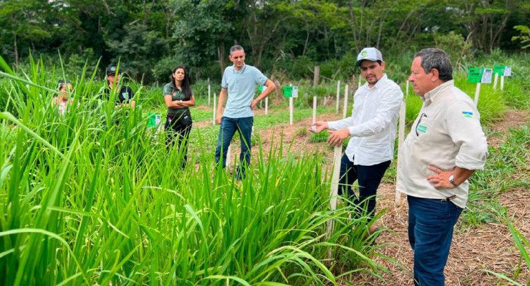 Programa Consultec-Leite impulsiona produção familiar em Rondônia