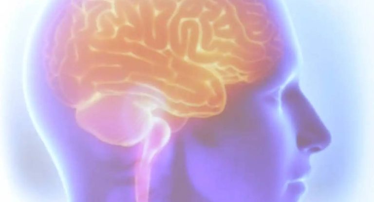 Projeto Ártemis avalia influência genética em casos de AVC