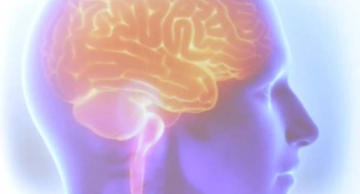 Projeto Ártemis avalia influência genética em casos de AVC