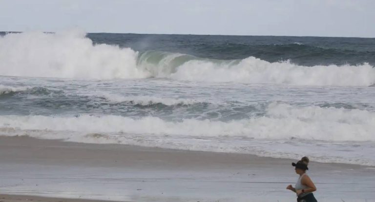 Projetos longos elevam a consciência ambiental em áreas costeiras