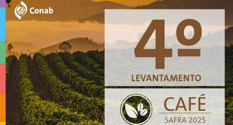 Safra de café deve alcançar 56,5 milhões de sacas em 2025, impulsionada pelo conilon