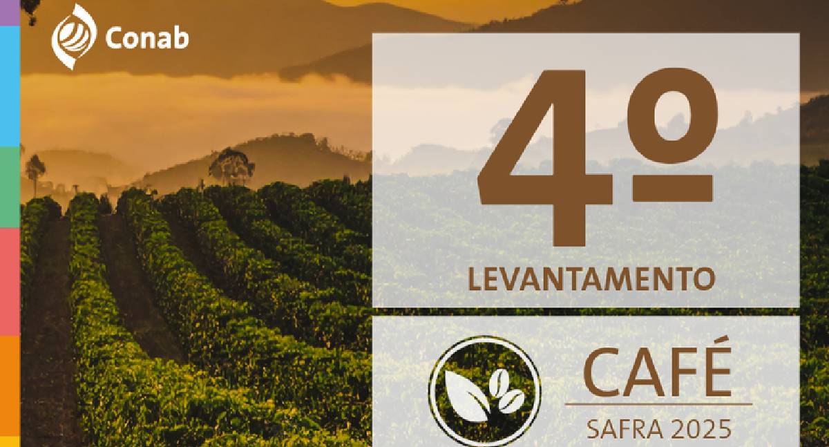 Safra de café deve alcançar 56,5 milhões de sacas em 2025, impulsionada pelo conilon