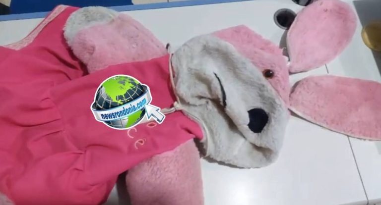 Sargento Machado prende traficante que usava ursinho para esconder droga