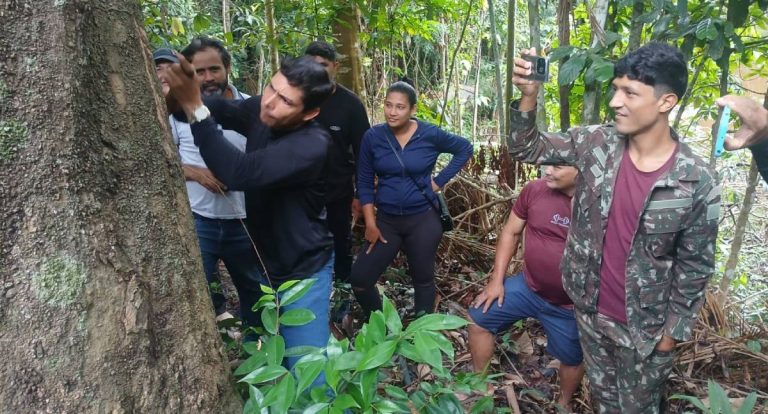 Semagric participa de oficina sobre boas práticas no manejo das seringueiras