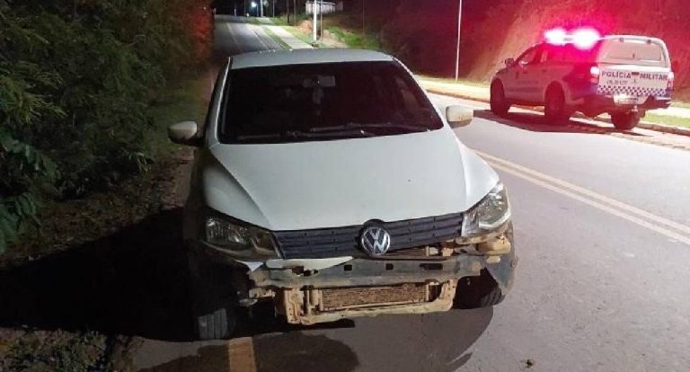 Theobroma: veículo atropela animal na RO-464