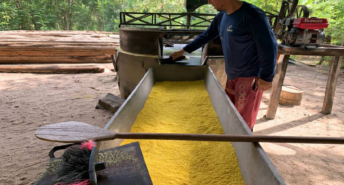 Microcrédito orientado pelo governo de RO fortalece agricultores familiares, mulheres e jovens rurais