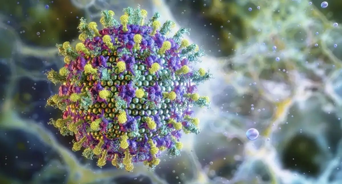 Ministério da Saúde diz que vírus Nipah não ameaça o Brasil