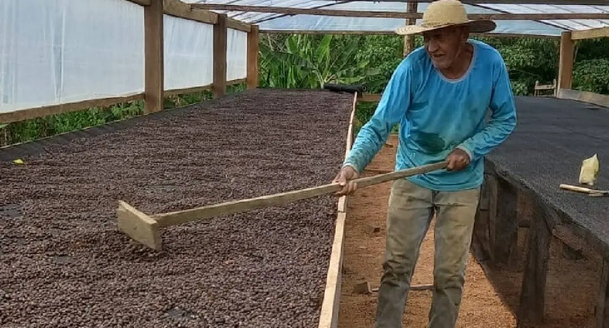 Porto Velho aos 111 anos: Agricultura familiar em expansão