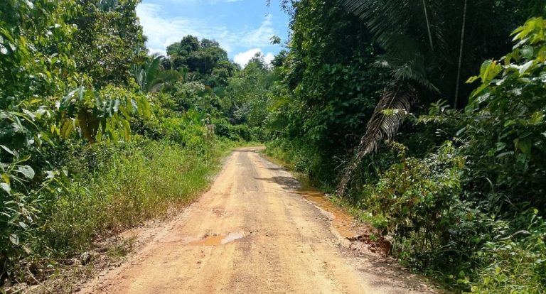 Prefeitura de Porto Velho vai iniciar reparos emergenciais no Ramal do Índio
