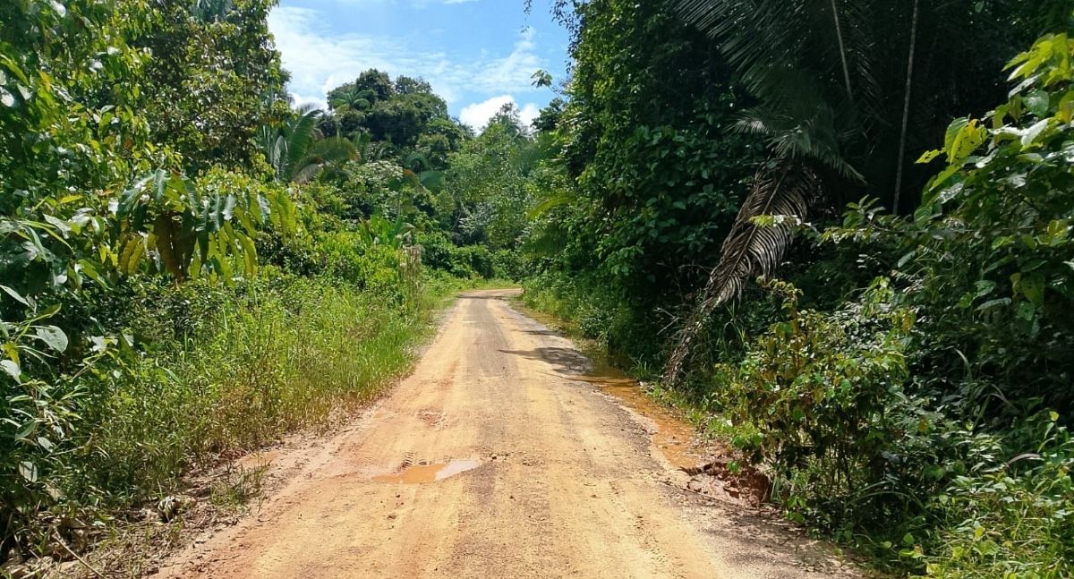 Prefeitura de Porto Velho vai iniciar reparos emergenciais no Ramal do Índio