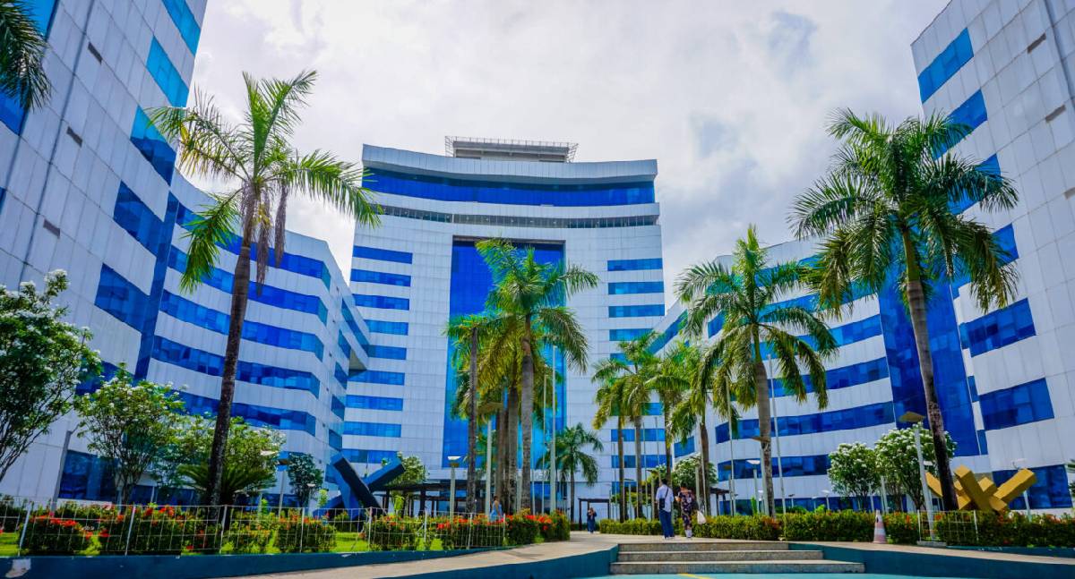 RO institui Calendário Oficial de Datas Comemorativas