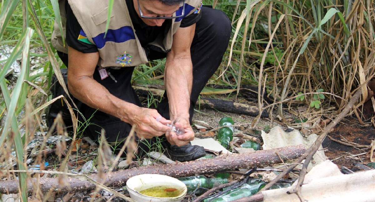 RO intensifica combate à dengue com foco em prevenção e vacinação