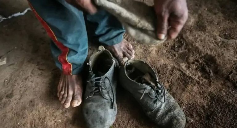 Apenas 4% dos réus por trabalho escravo recebem condenação total