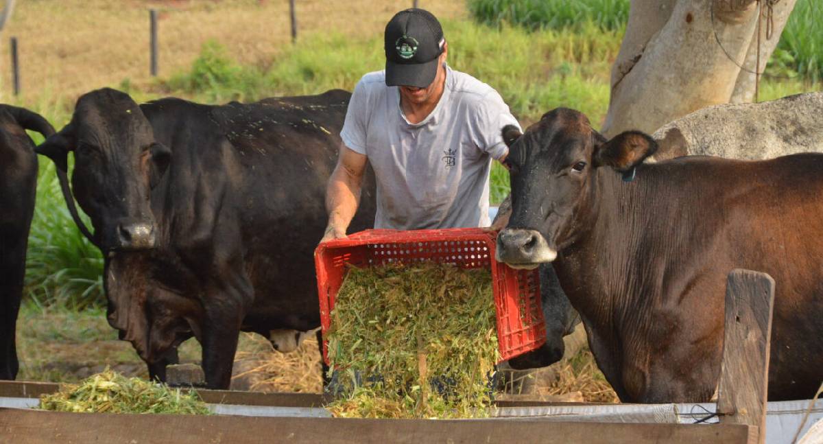 Assistência técnica rural: Emater-RO se fortalece em Rondônia
