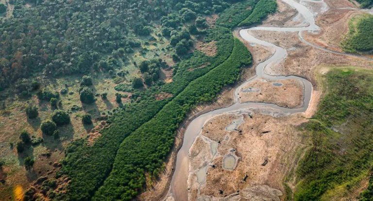 BNDES recebe 16 propostas para restauração florestal na Amazônia