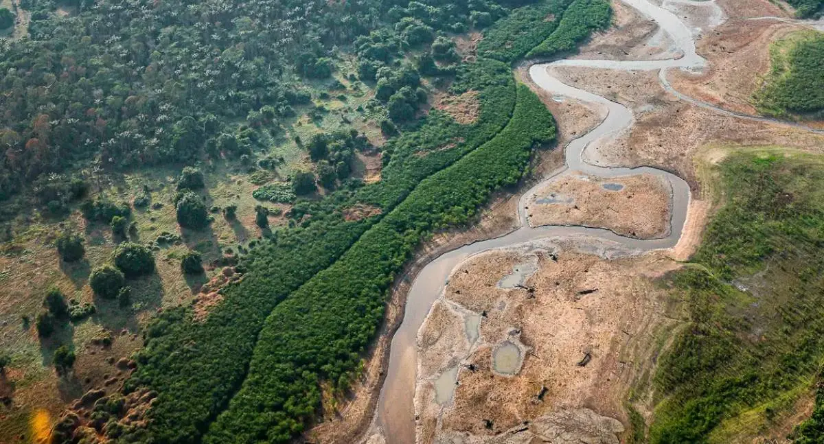 BNDES recebe 16 propostas para restauração florestal na Amazônia