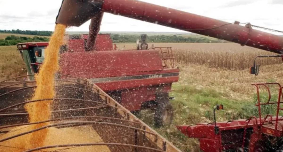 Conab divulga calendário de 2026 de levantamentos das safras agrícolas e do mercado hortigranjeiro