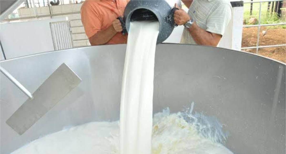 Crise do leite em Rondônia: Cláudia de Jesus propõe estado de calamidade pública