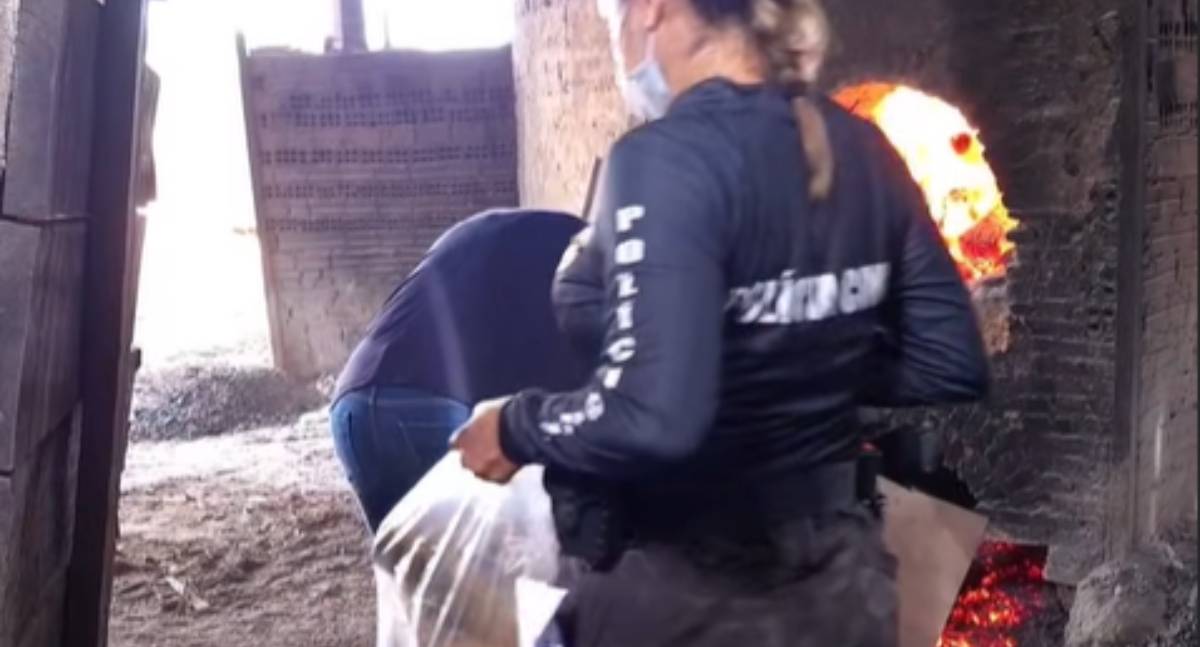 Denarc incinera 450 quilos de drogas em Porto Velho