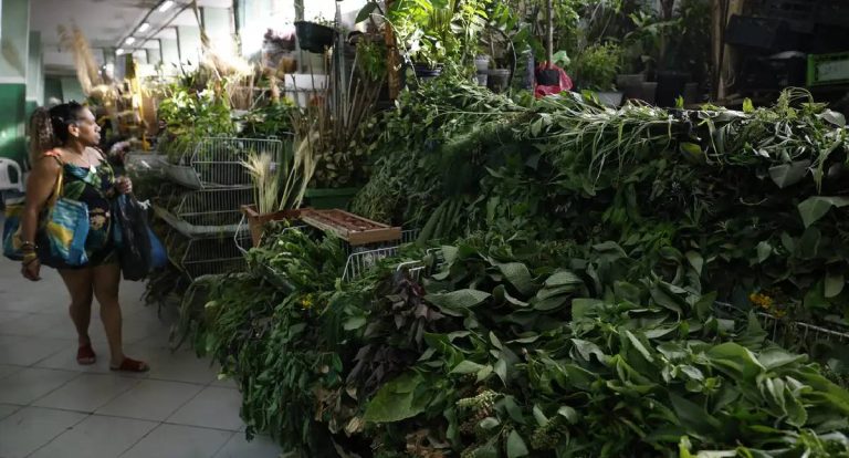 Erveiras se atualizam para atender religiões afro no Rio.