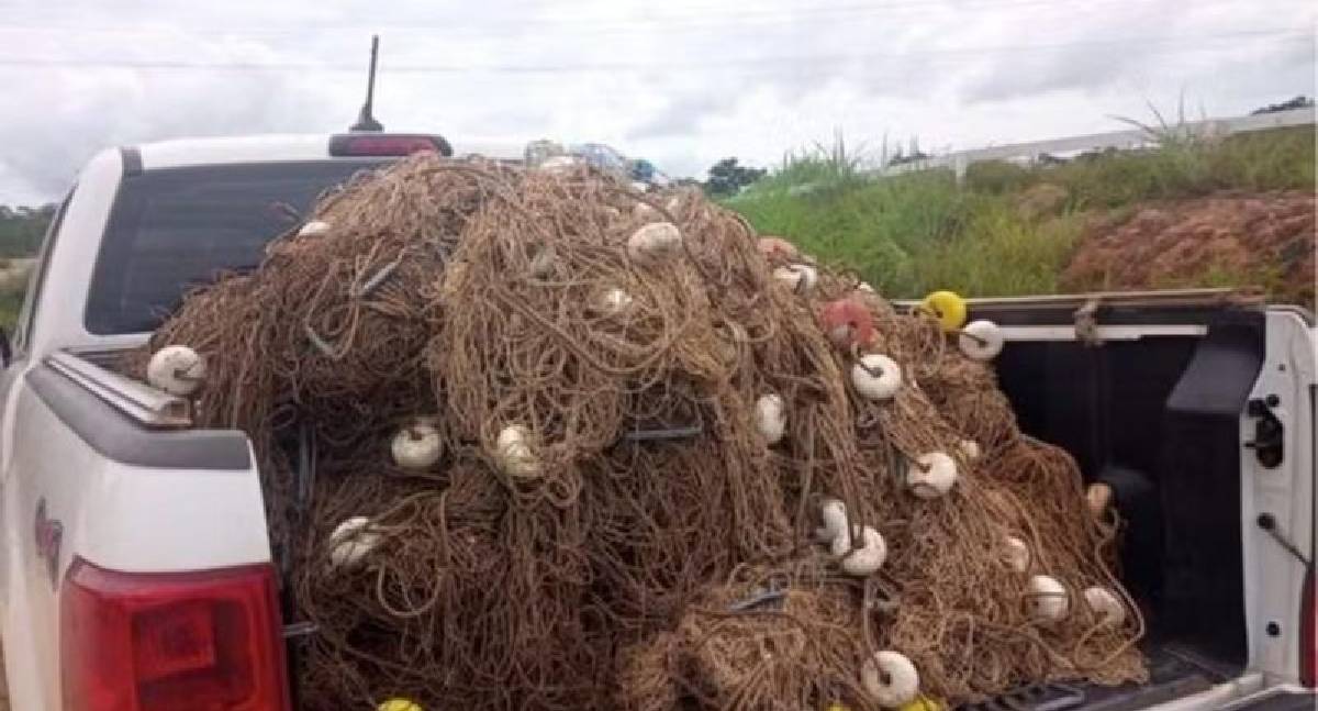 Fiscalização apreende quase 19 km de redes de pesca ilegais em rios de RO