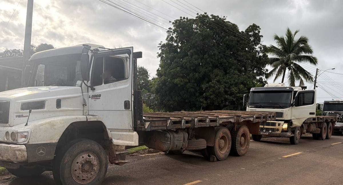 Força policial trava transporte de madeira em reserva indígena