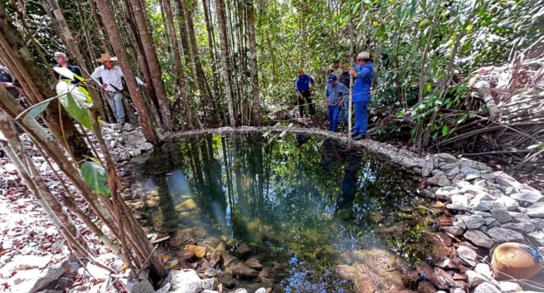 Governança climática e avanços estruturais colocam Rondônia em destaque na agenda ambiental entre 2019 e 2025