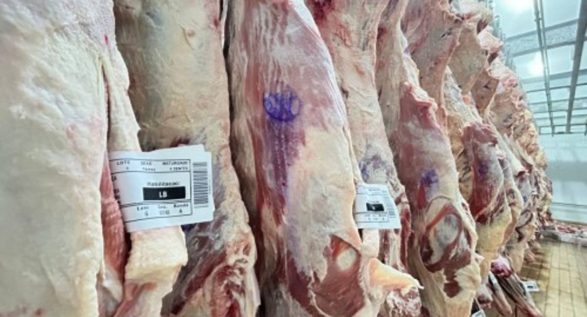 Inspeção Municipal garante carne segura e fortalece a economia em Porto Velho