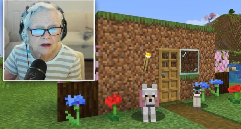 Minecraft solidário: vovó vira youtuber para salvar neto
