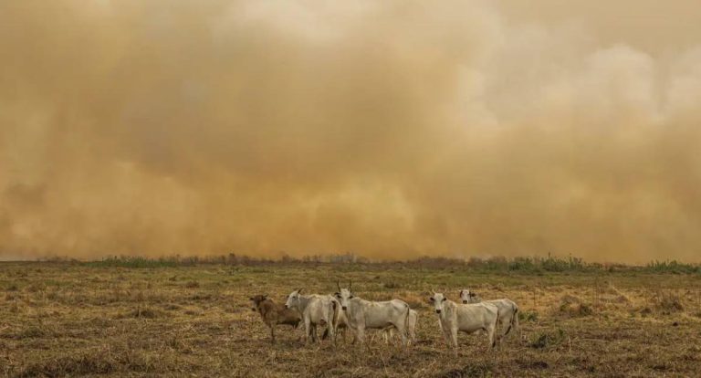 Número de focos de calor dobra em janeiro e acende alerta