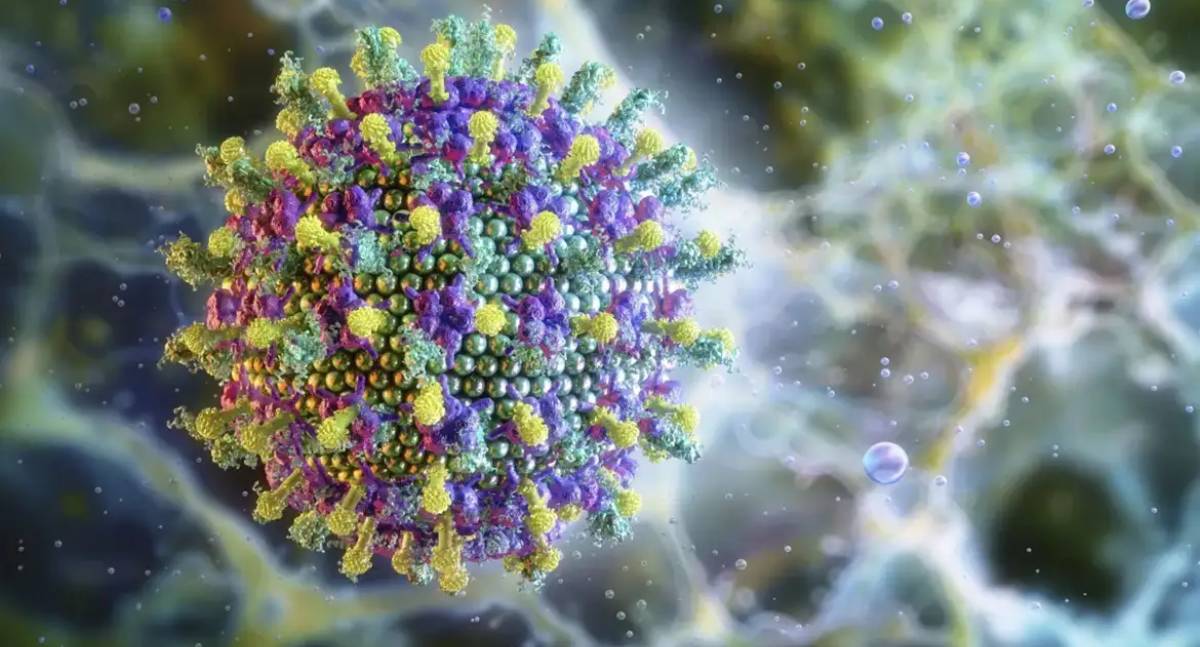 OMS aponta baixo risco de disseminação do vírus Nipah na Índia