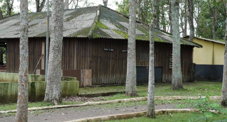 Prefeitura inicia reforma geral do Parque Circuito, símbolo histórico de Porto Velho