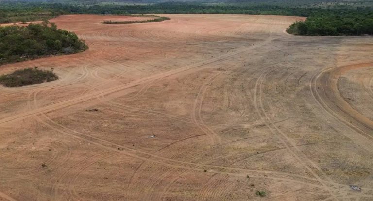 Processadoras de soja deixam Moratória da Amazônia: acordo é abandonado
