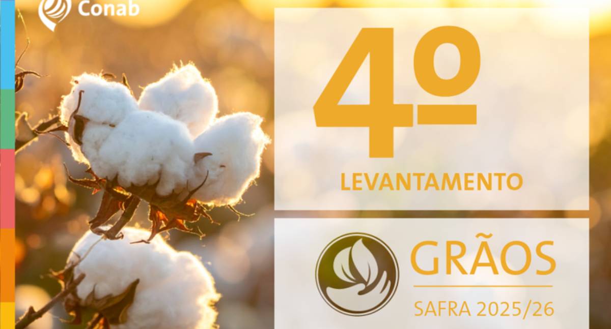 Produção de grãos 2025/26: Brasil mantém perspectiva de recordes históricos