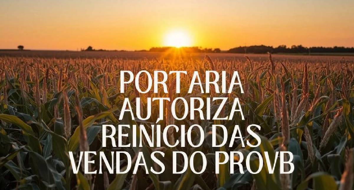 ProVB: governo autoriza retomada das vendas de milho