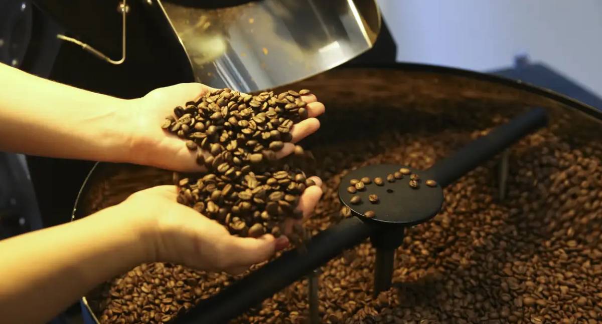 Receita da exportação de café bate recorde em 2025 no Brasil