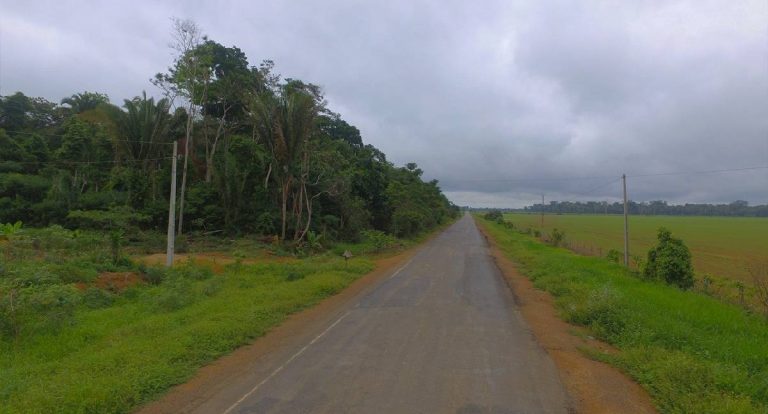 RO-459 e RO-457: Alex Redano pede recuperação urgente