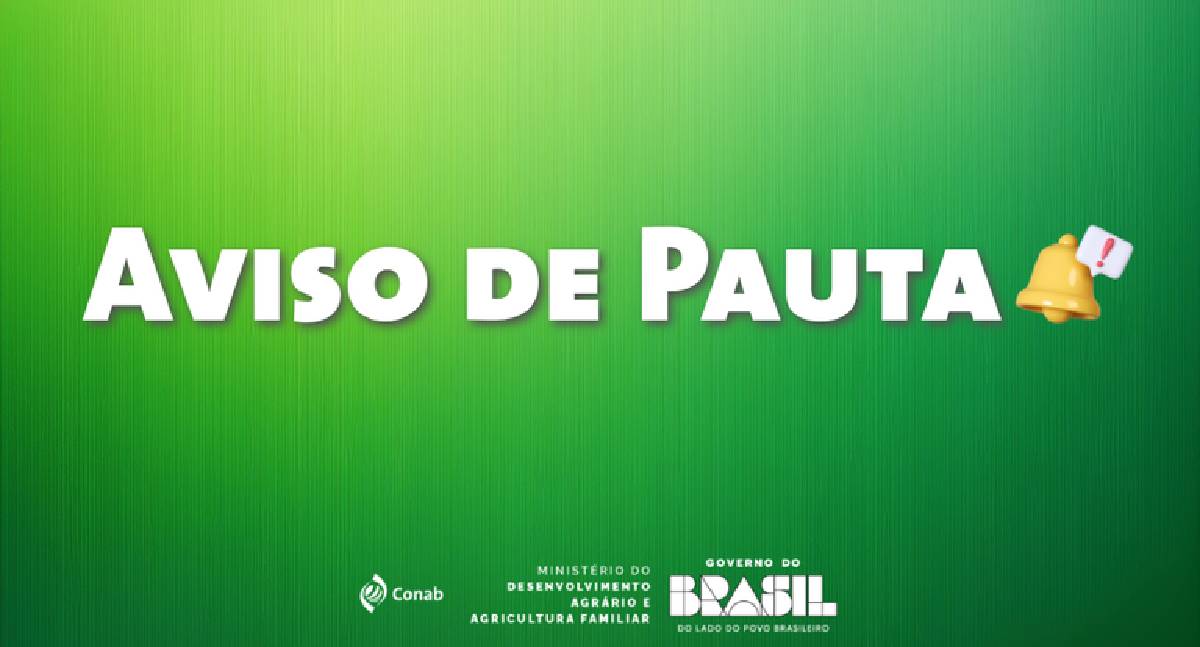 Safra de Grãos 2025/2026: Conab divulga 4º levantamento