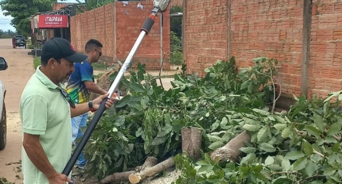 Sema remove árvore caída e libera trânsito no bairro Cristal da Calama