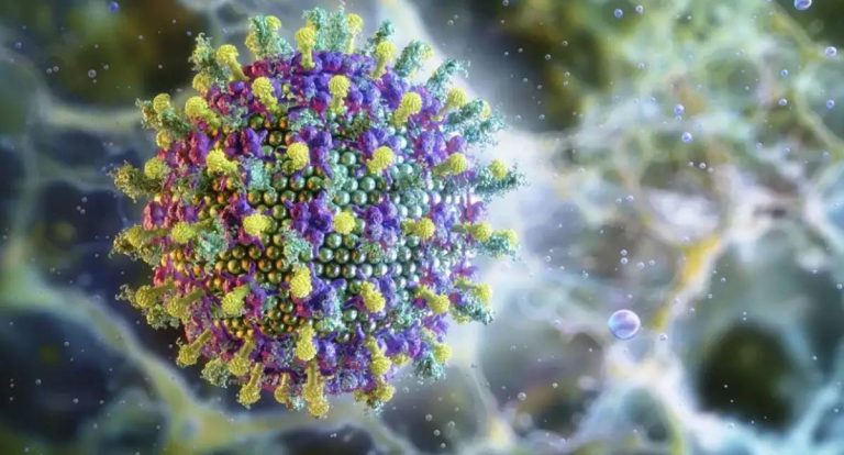 Surto do vírus Nipah na Índia coloca autoridades de saúde em alerta