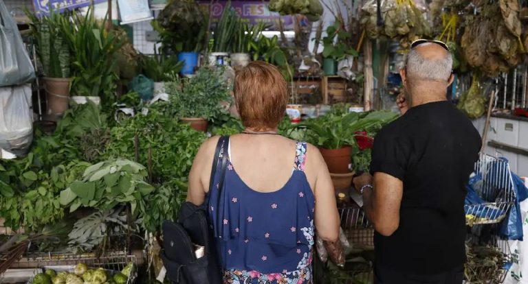 Tradição e fé movimentam banhos e ervas no fim de ano.