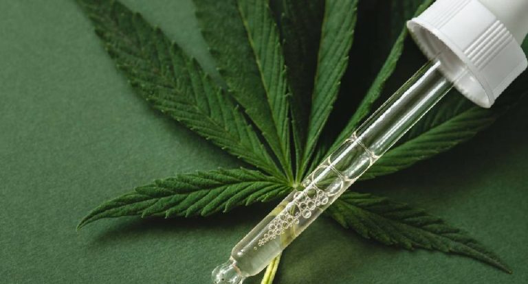 Anvisa publica normas para produção controlada de cannabis medicinal